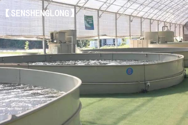 循环水杀菌剂的种类及技术特点与应用