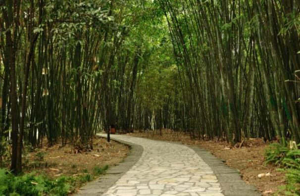 成都浣花溪 图文无关 森盛隆小编配图